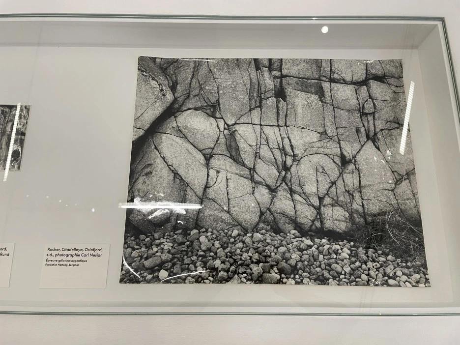 IMG_0500.JPG?type=w1