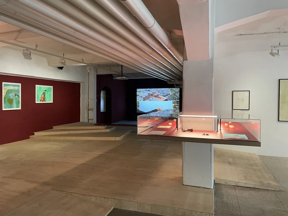 IMG_2426_2.jpg?type=w1