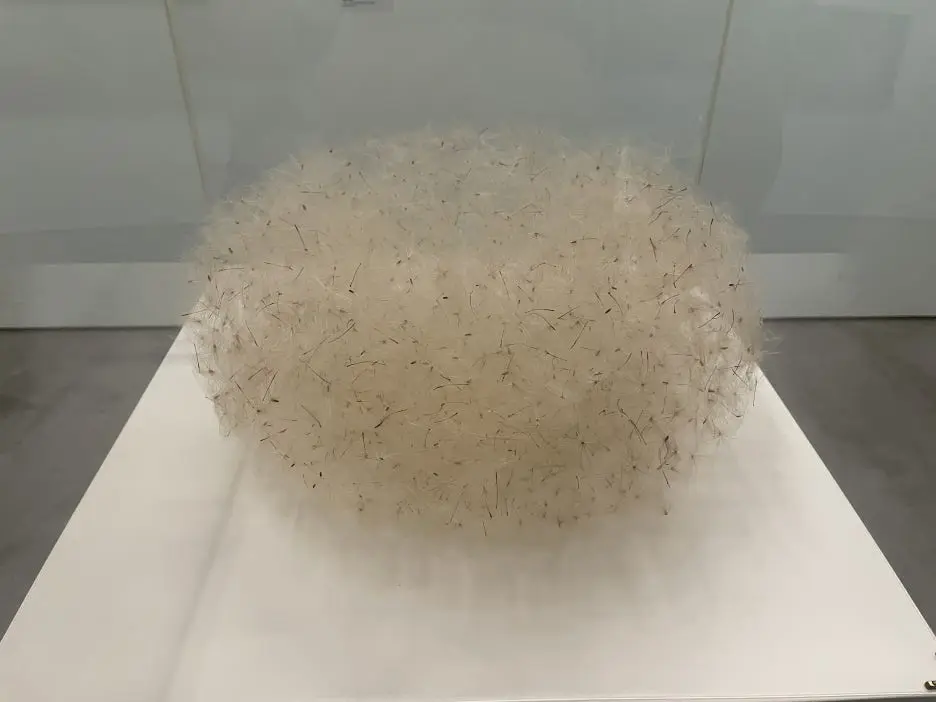 IMG_9081.JPG?type=w1