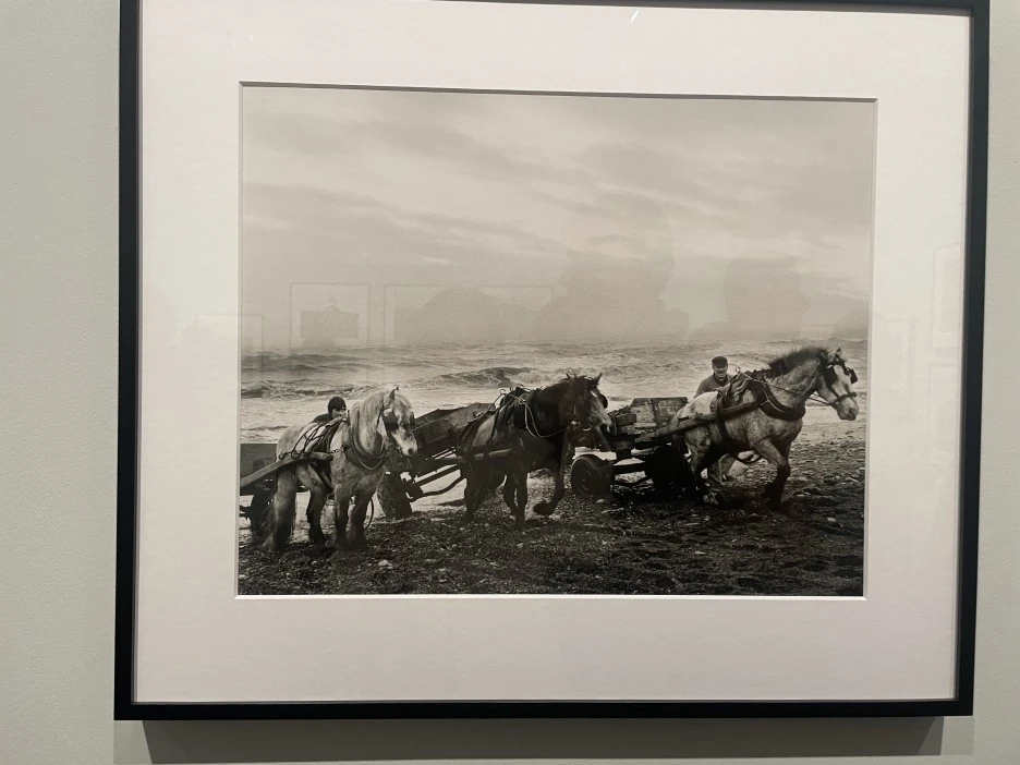 IMG_2522.jpg?type=w1