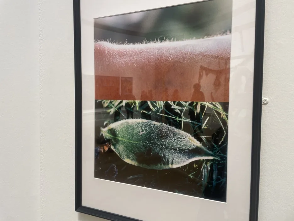 IMG_4829.JPG?type=w1