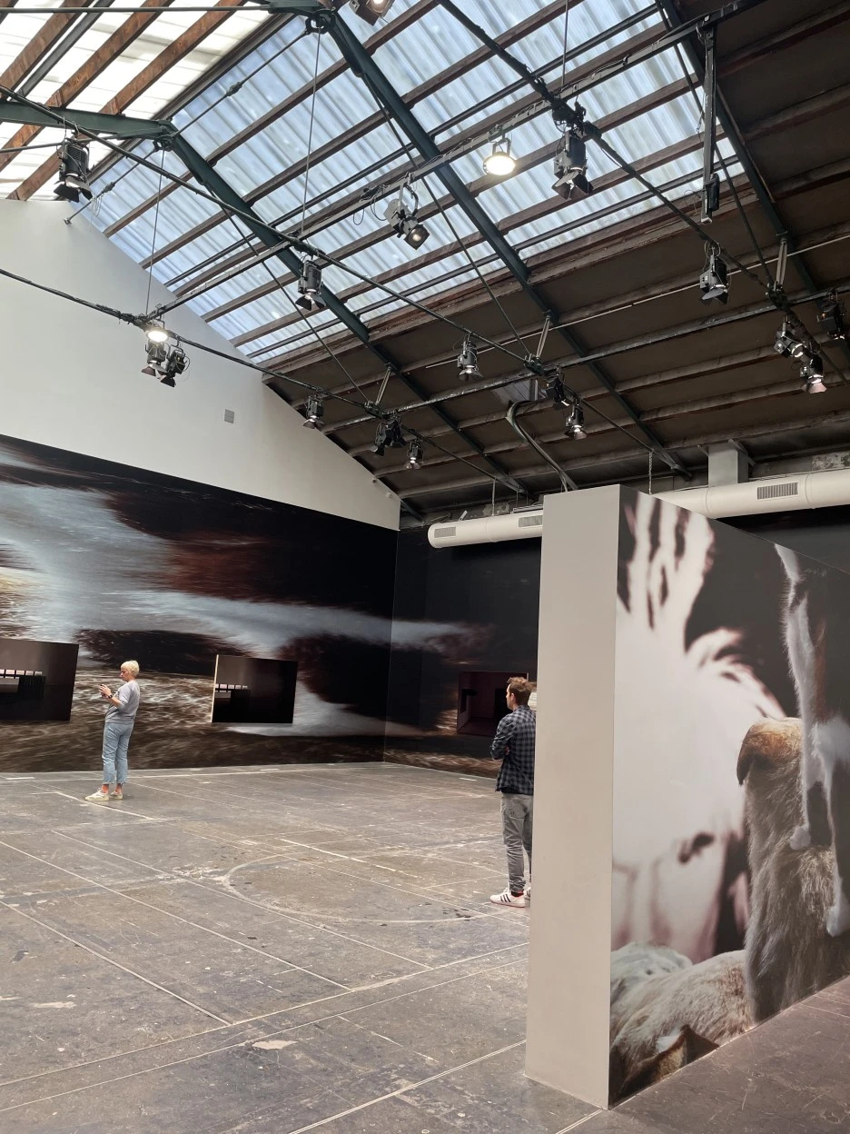 IMG_5345.jpg?type=w1