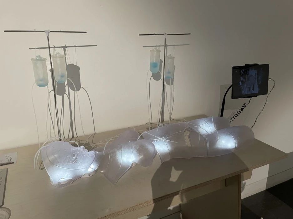 IMG_8898.JPG?type=w1