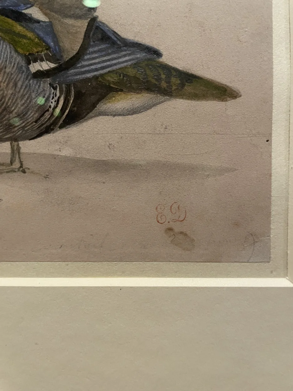 IMG_3076.JPG?type=w1