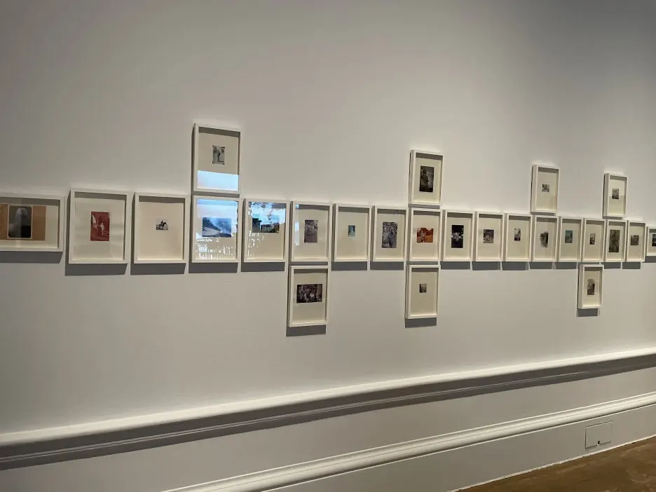 IMG_2404.JPG?type=w1