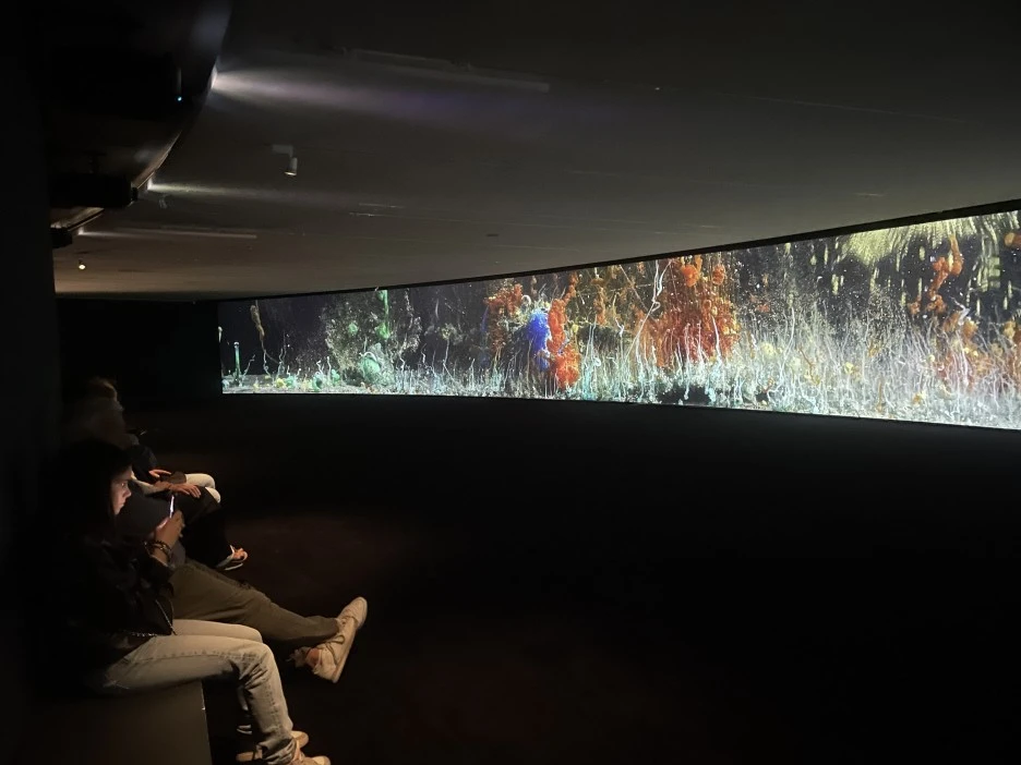 IMG_1123.JPG?type=w1