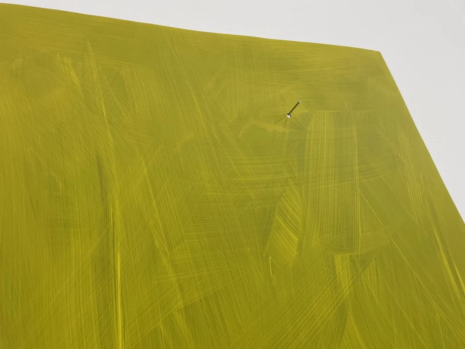 IMG_2450.jpg?type=w1