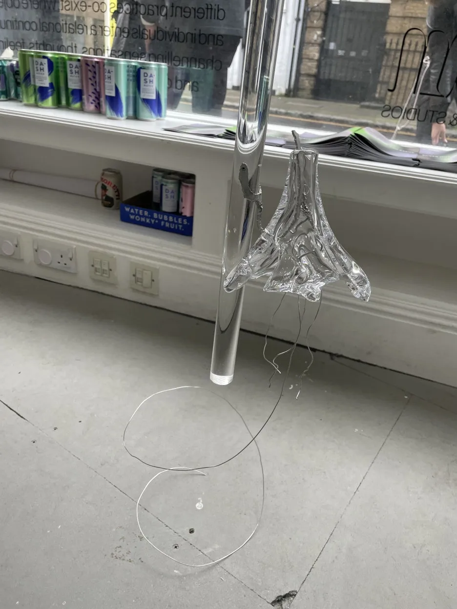 IMG_6085.JPG?type=w1