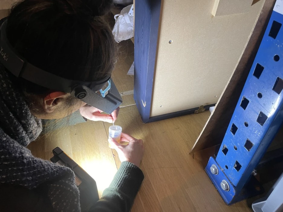 IMG_5425.JPG?type=w1