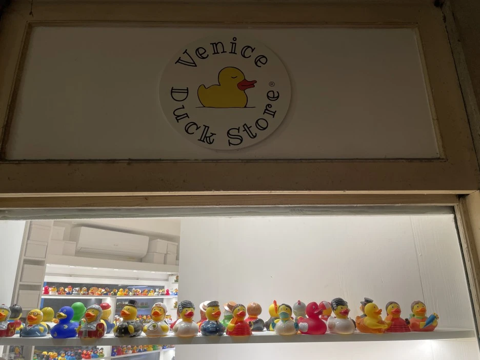 IMG_6947.jpg?type=w1