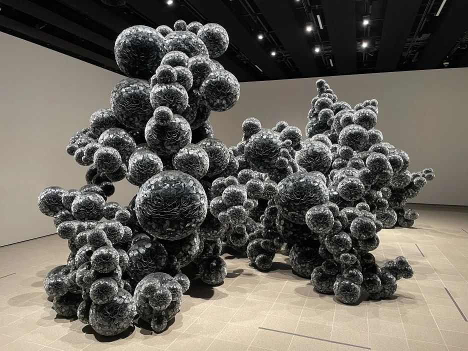 IMG_5580.JPG?type=w1