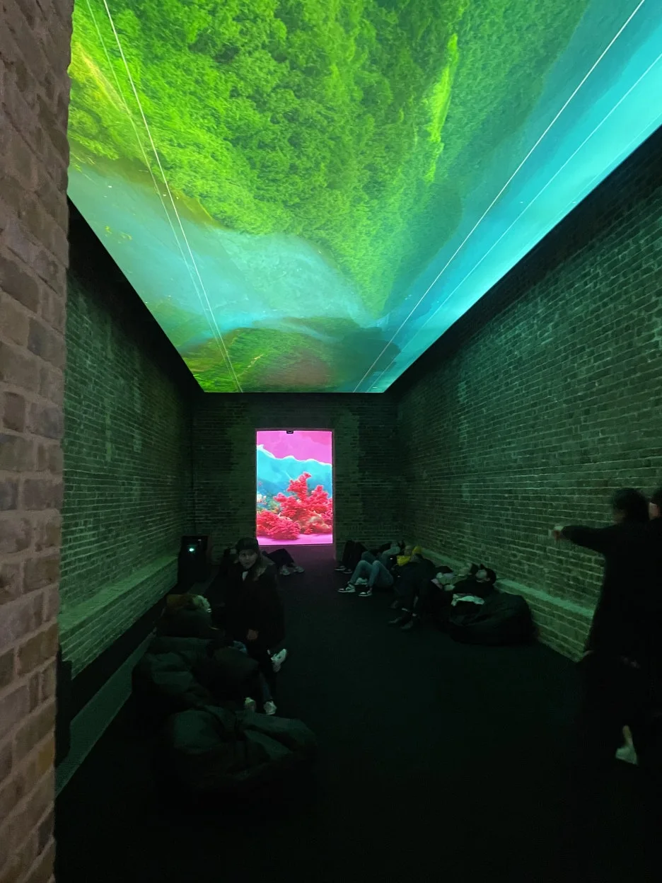 IMG_3007.JPG?type=w1