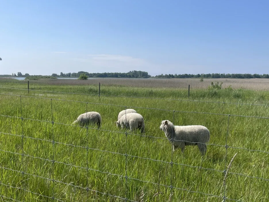 IMG_1240.JPG?type=w1