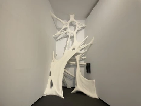 IMG_9655.JPG?type=w466