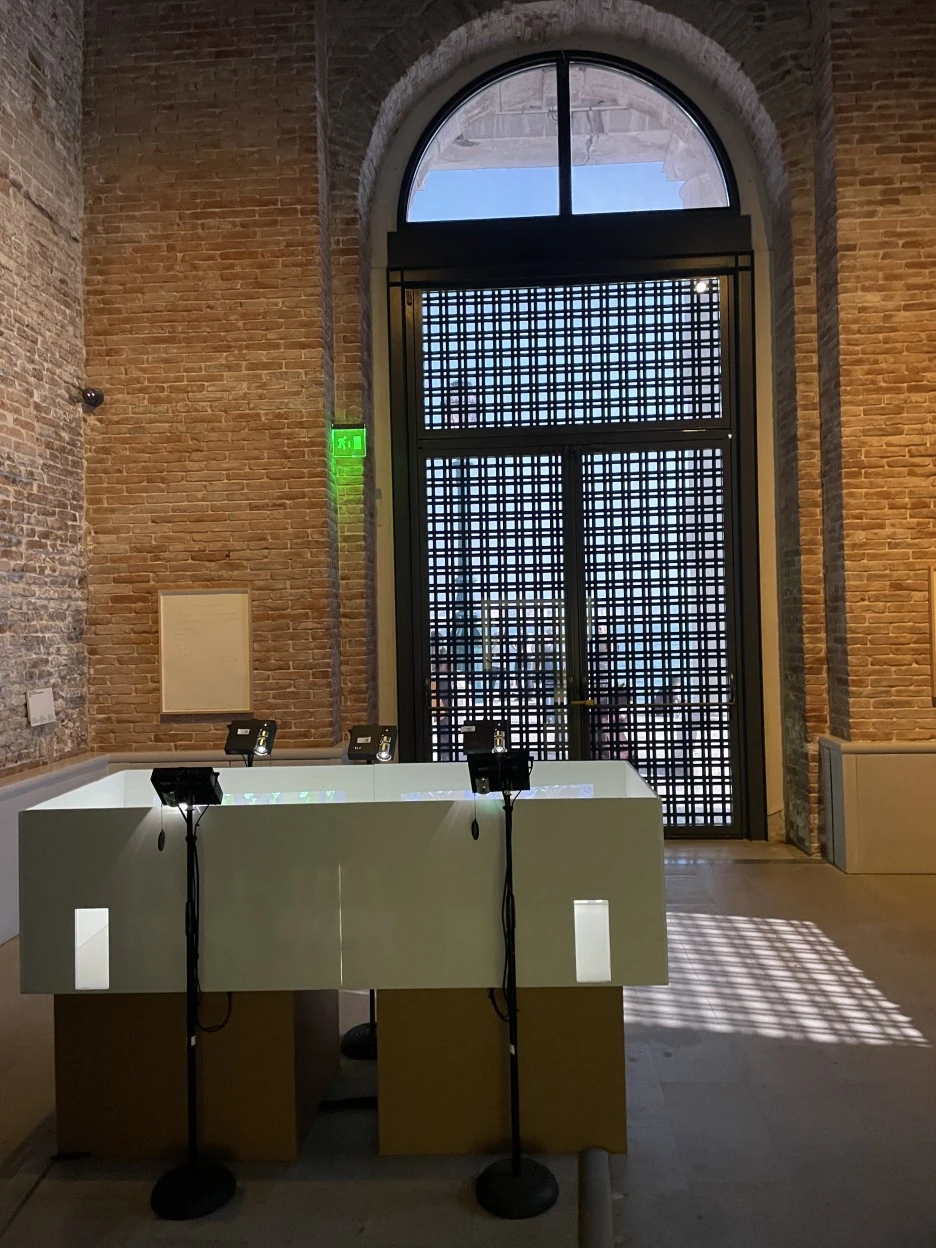 IMG_7284.jpg?type=w1