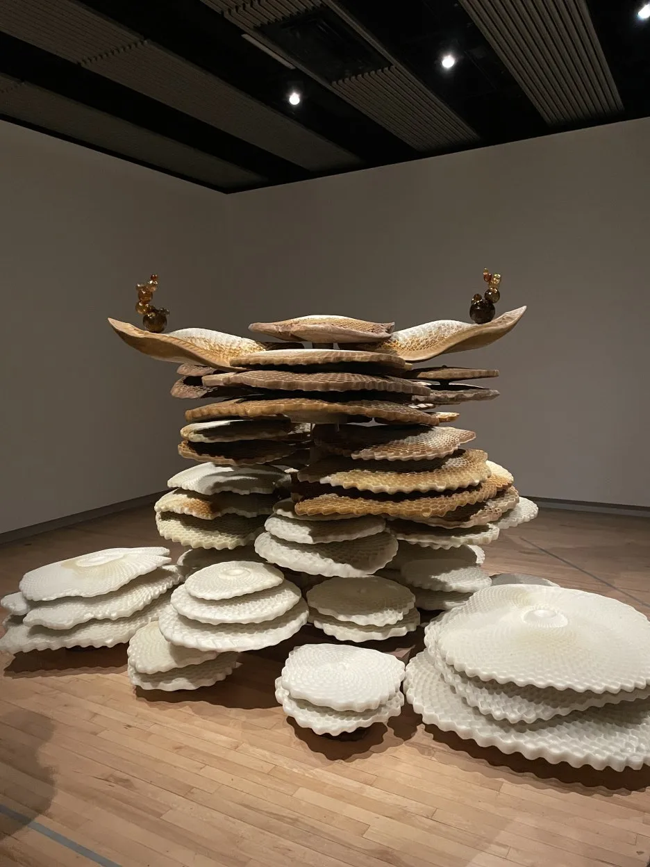 IMG_5584.JPG?type=w1