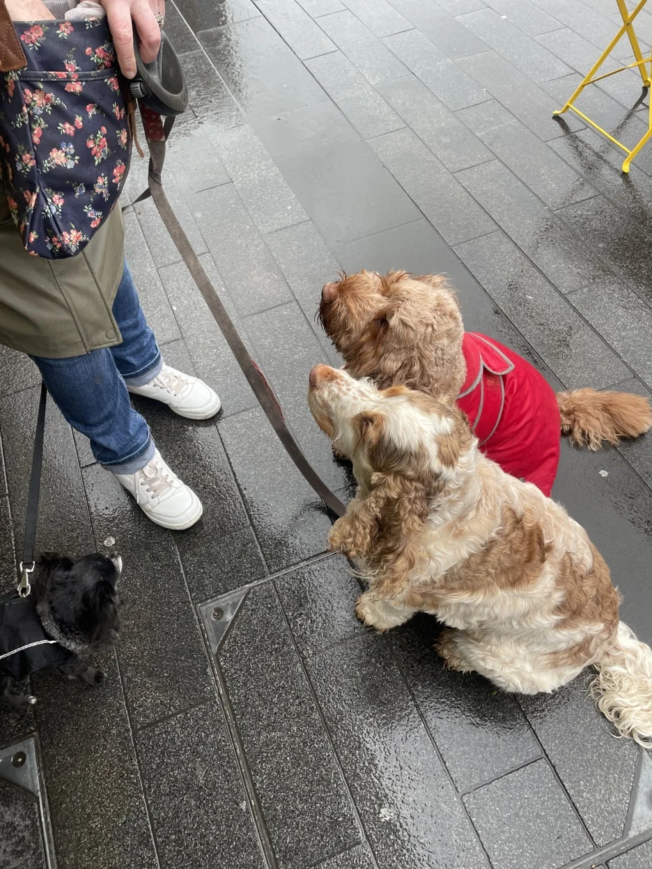 IMG_2032.JPG?type=w1