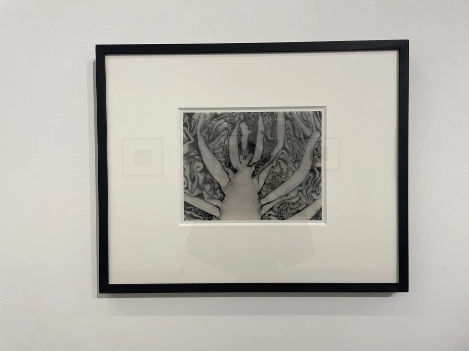 IMG_7777.JPG?type=w1