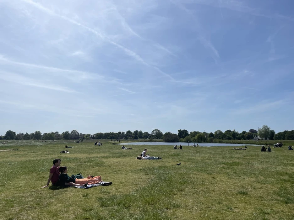 IMG_7851.JPG?type=w1