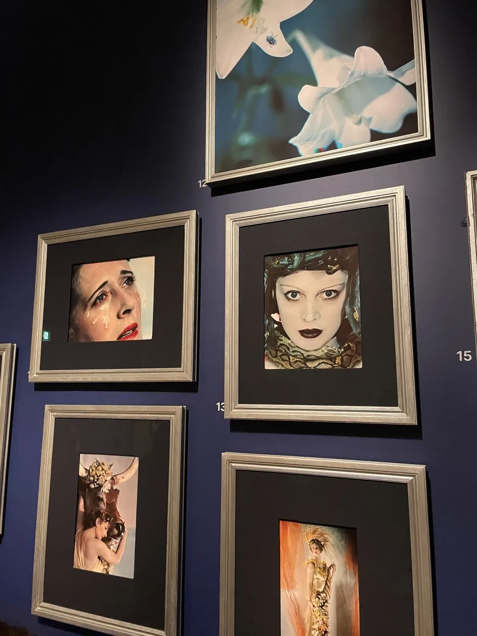 IMG_5050.JPG?type=w1