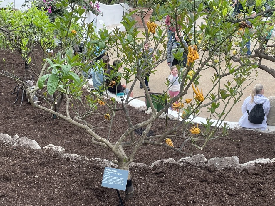 IMG_5332.JPG?type=w1