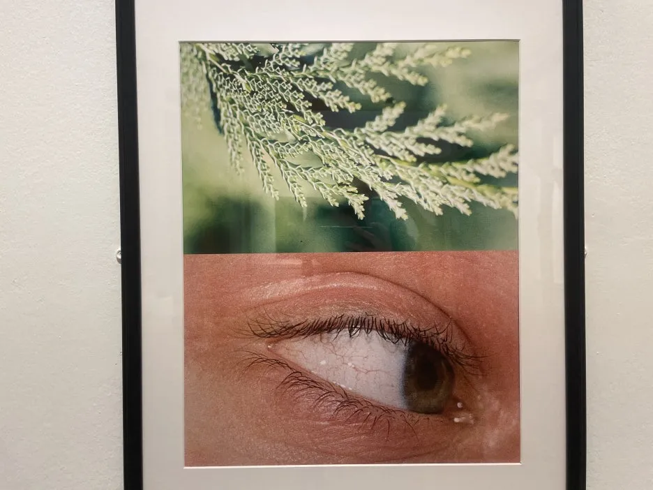 IMG_4831.JPG?type=w1