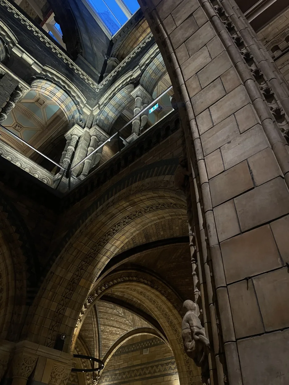 IMG_2099.JPG?type=w1