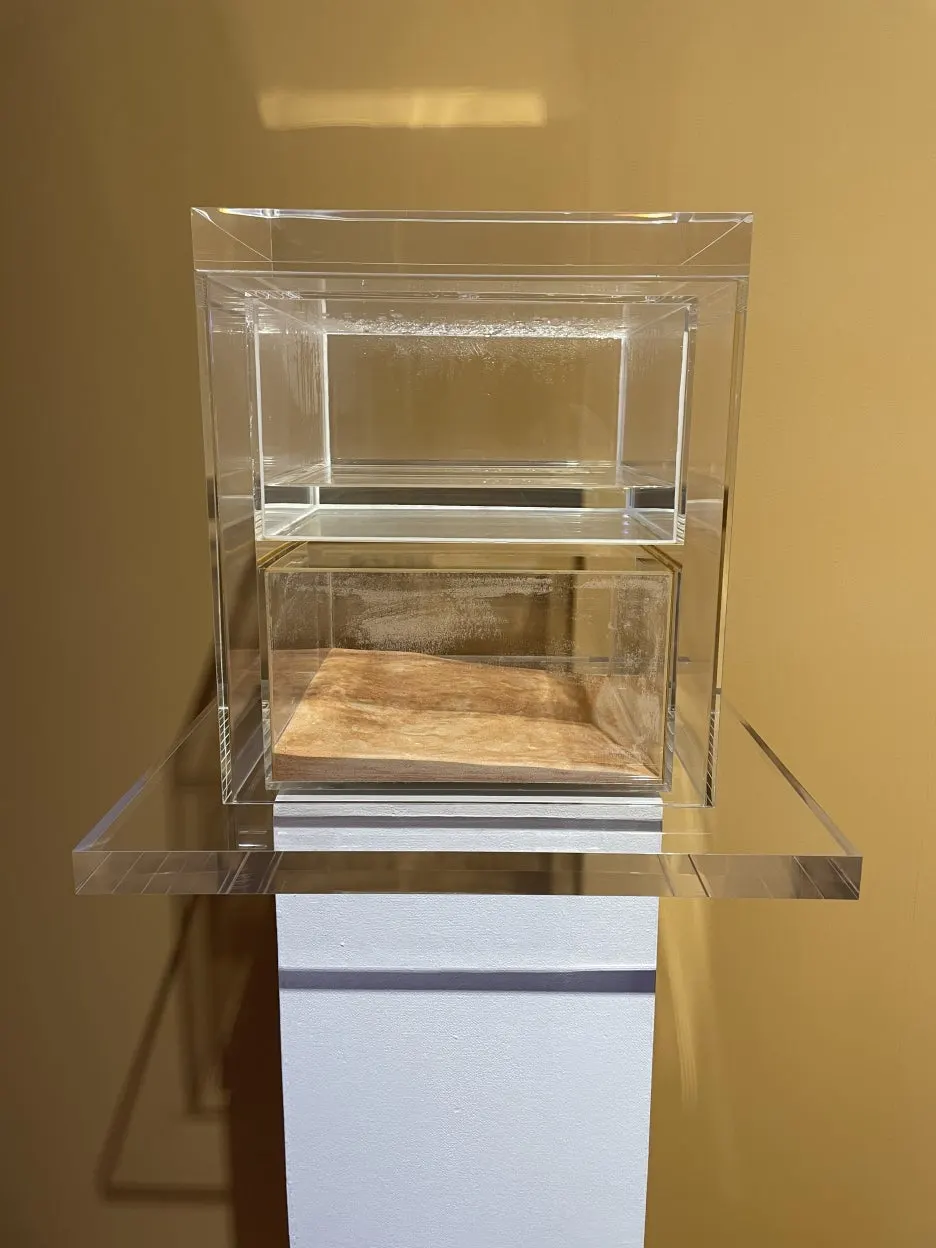 IMG_8930.JPG?type=w1