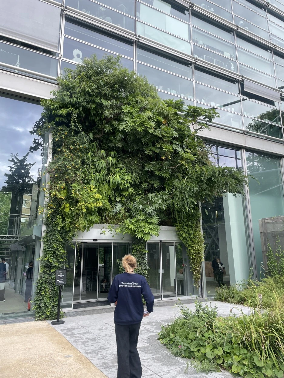 IMG_1091.JPG?type=w1