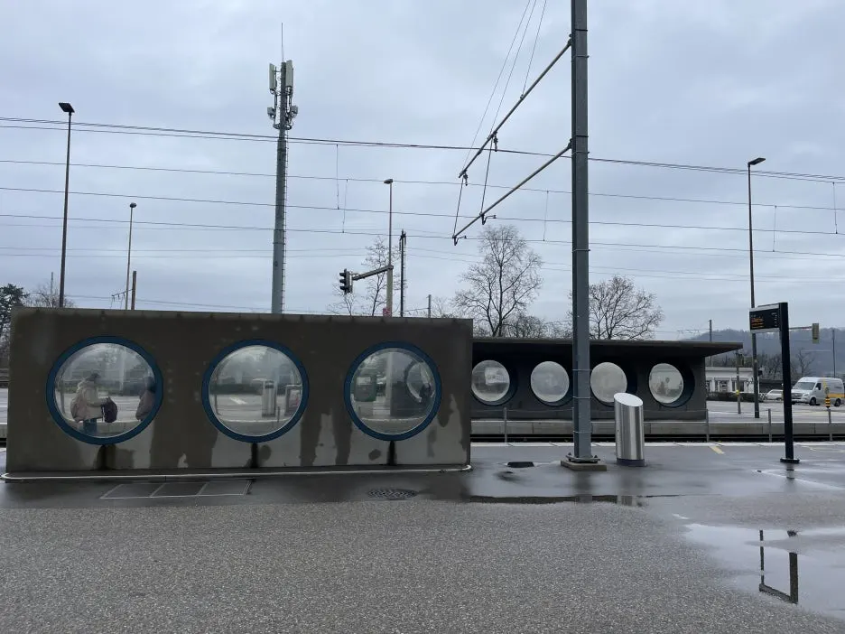 IMG_8493.JPG?type=w1