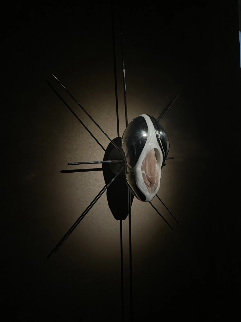 IMG_6207.JPG?type=w1