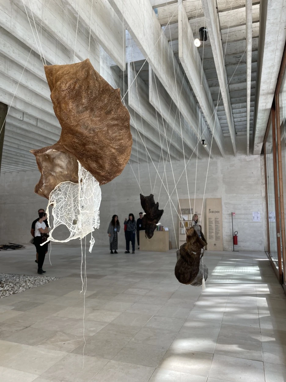 IMG_5546.jpg?type=w1