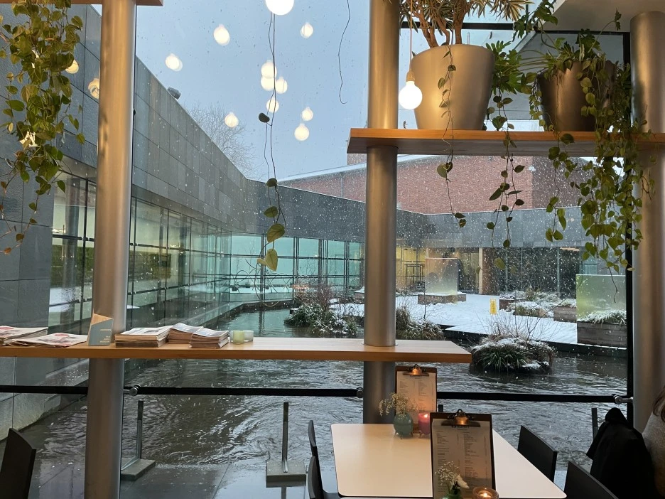 IMG_1617.jpg?type=w1