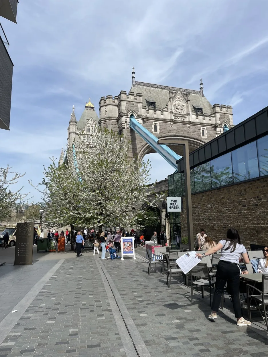 IMG_5541.JPG?type=w1