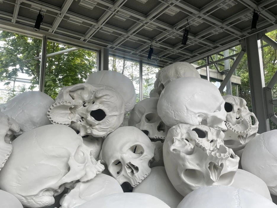 IMG_1063.JPG?type=w1