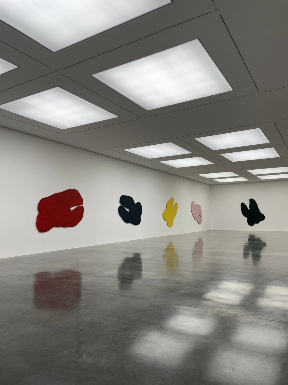 IMG_2443.jpg?type=w1