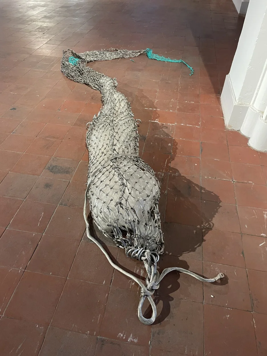 IMG_0377.JPG?type=w1