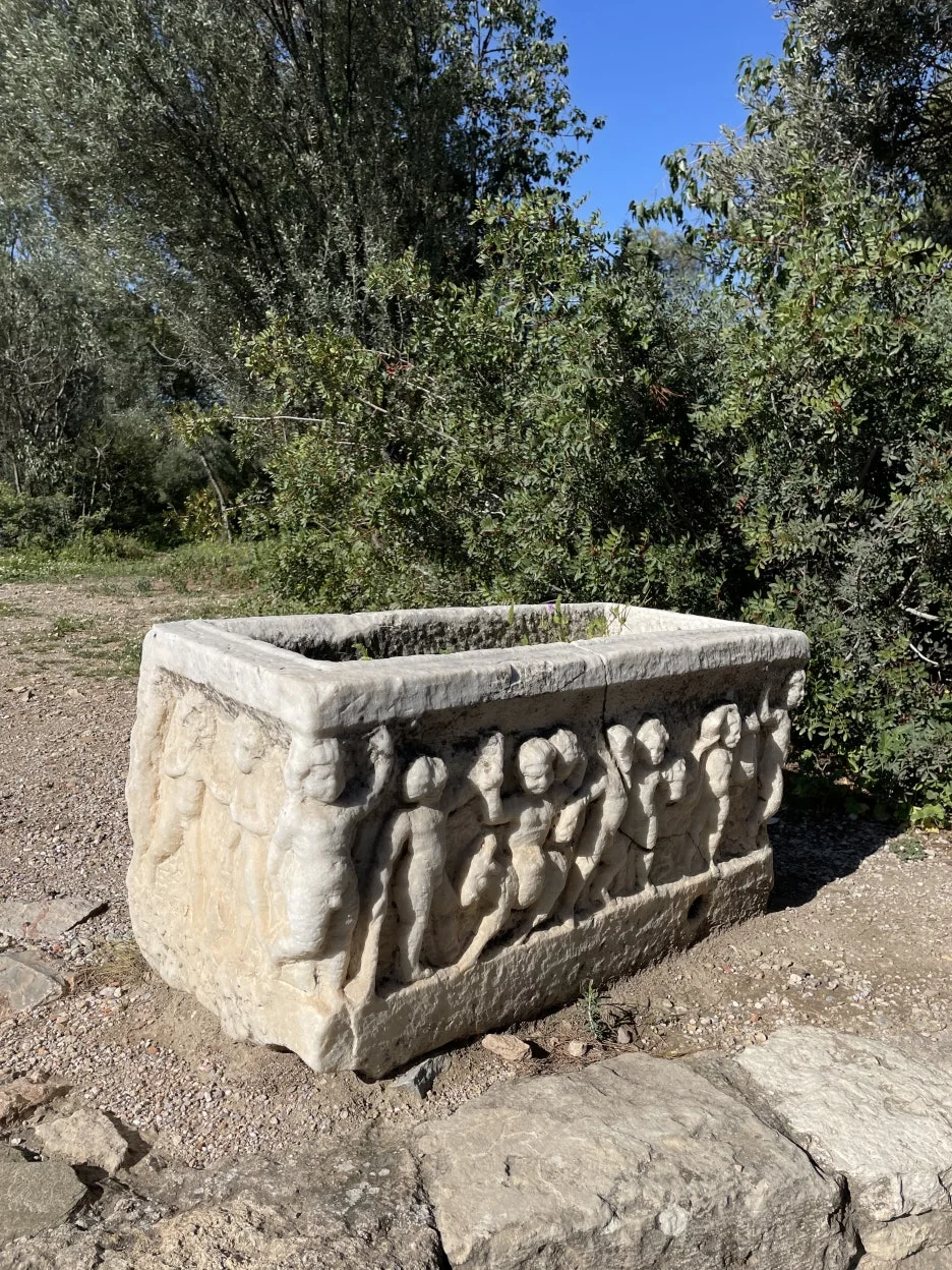 IMG_3166.JPG?type=w1