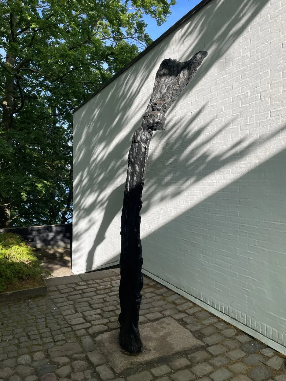 IMG_0877_2.JPG?type=w1