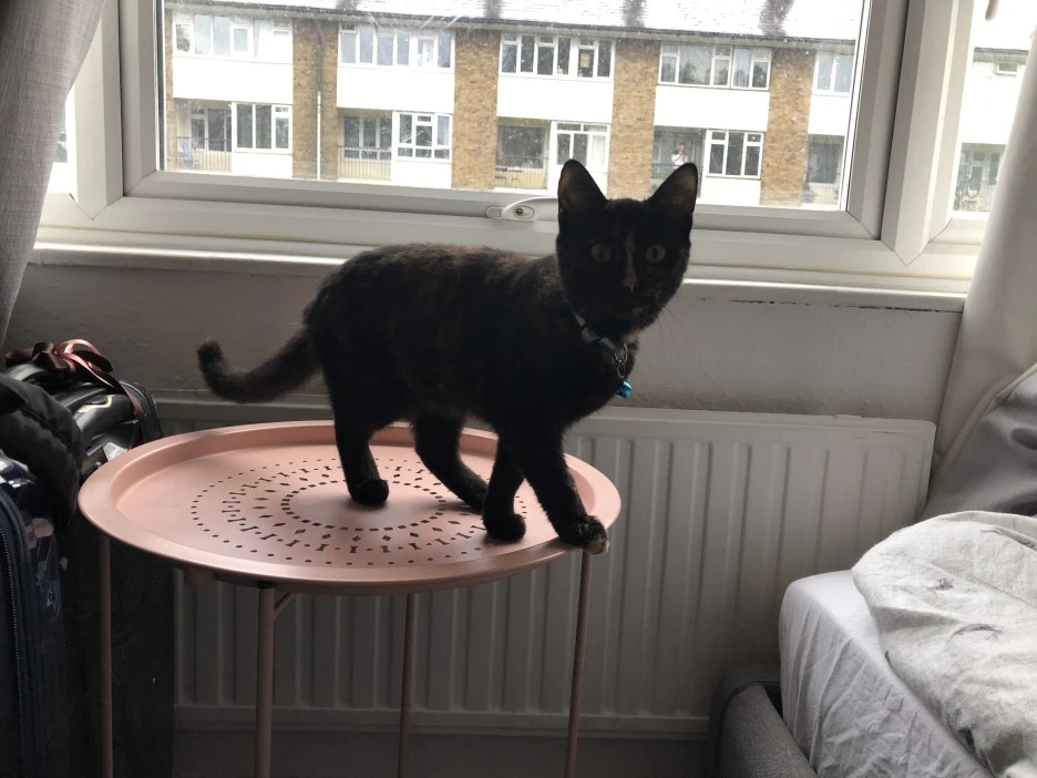 IMG_6905.JPG?type=w1