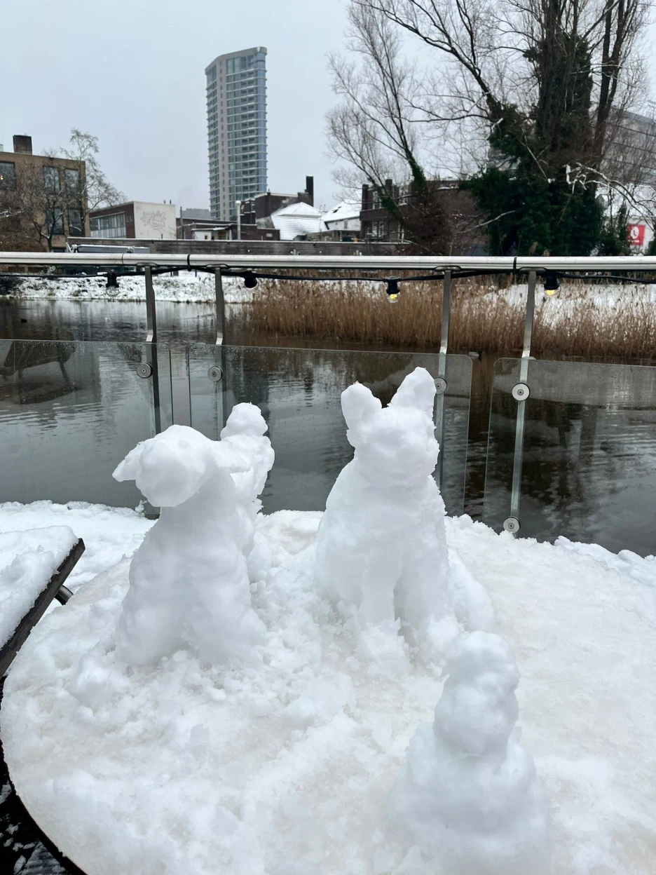 1ccd5c24-8c80-4d63-9290-6a64d1e4c043.JPG?type=w1