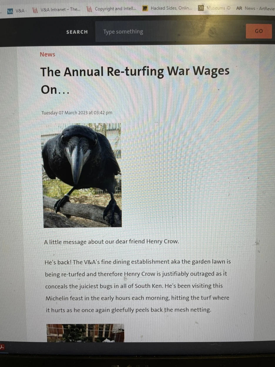 IMG_3020.JPG?type=w1