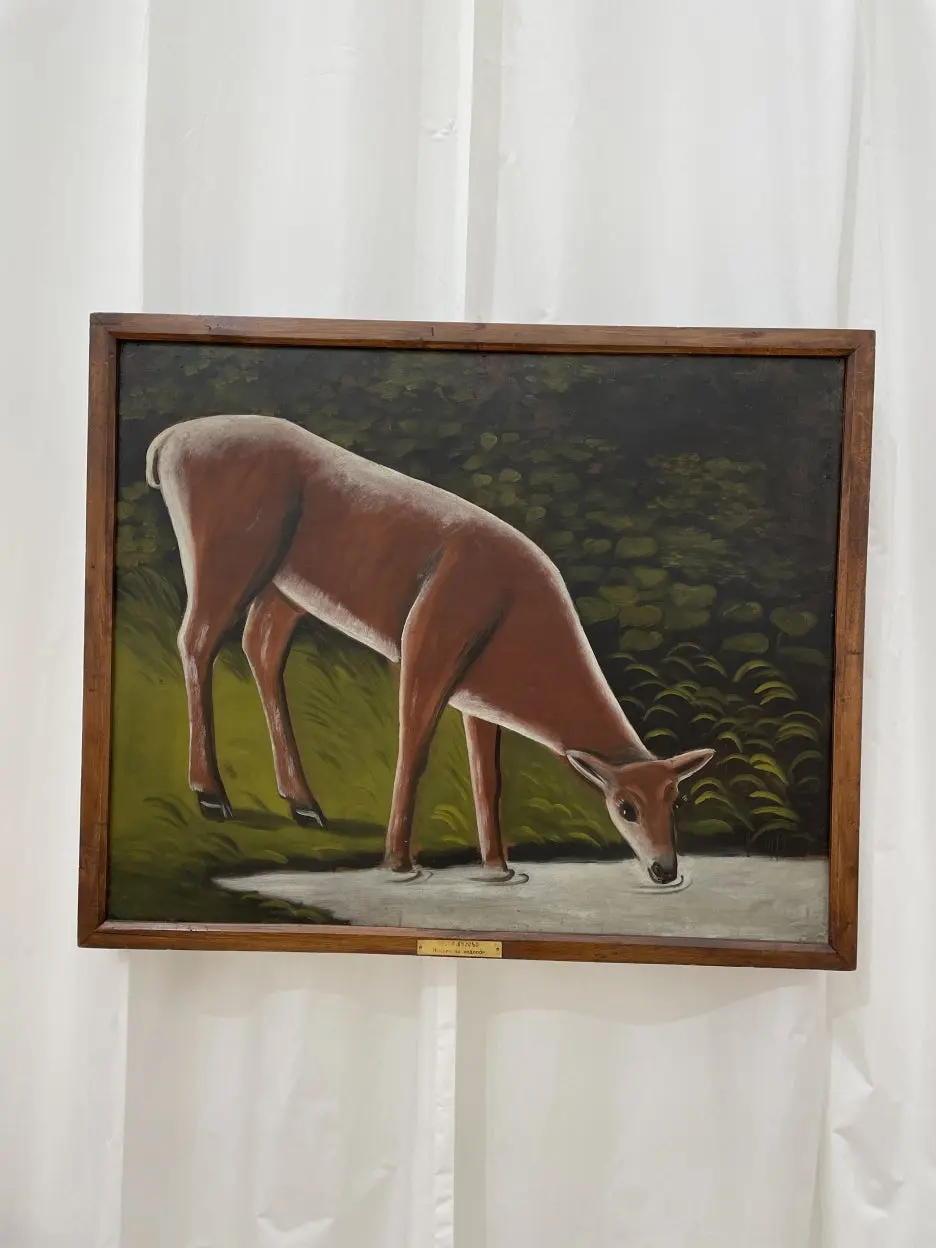 IMG_8578.JPG?type=w1