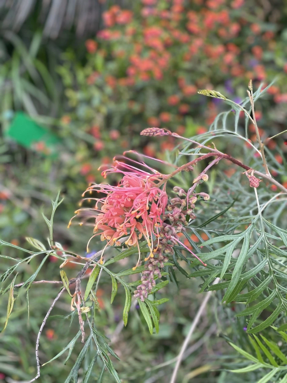 IMG_5392.jpg?type=w1