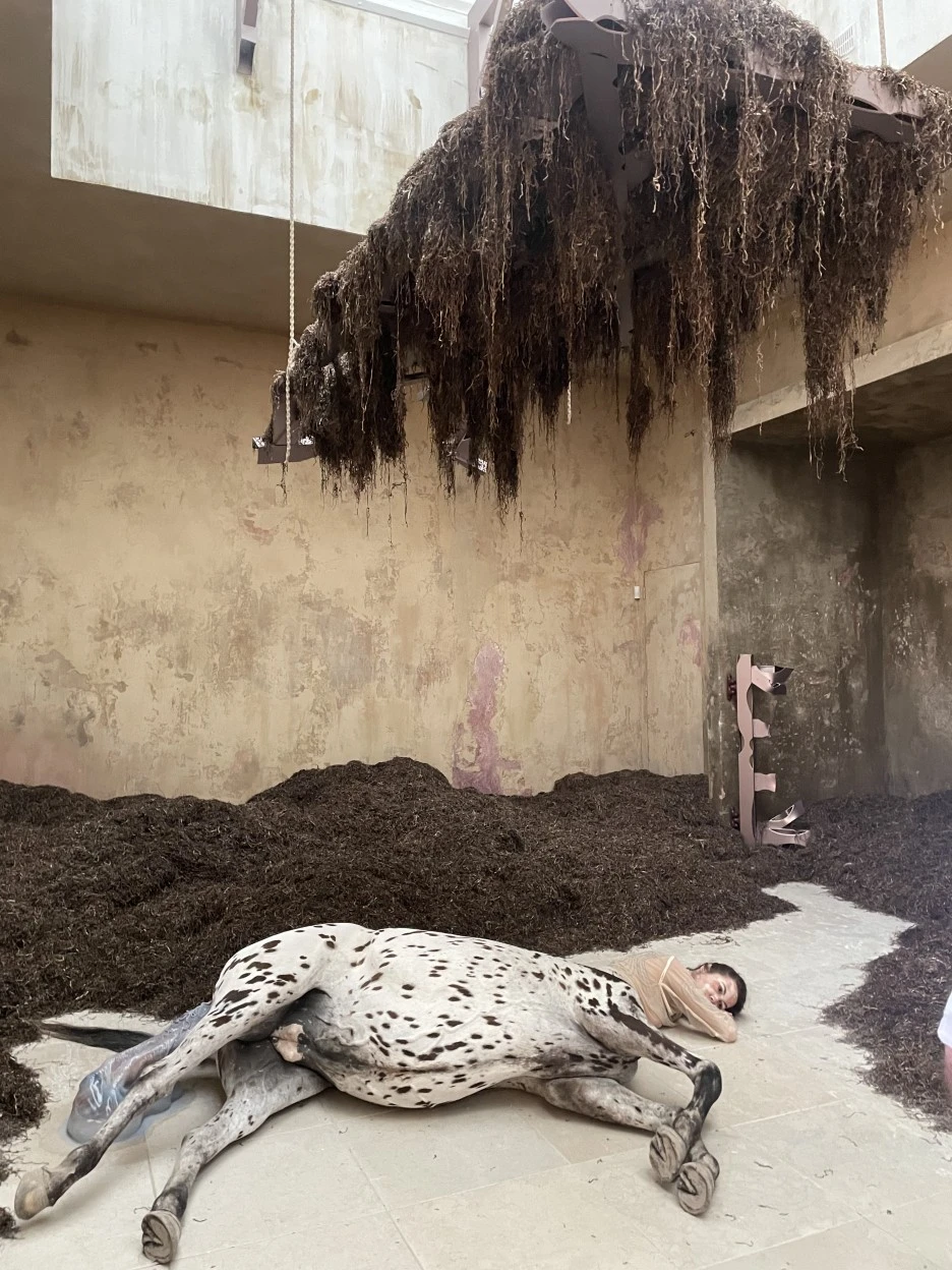 IMG_5594.jpg?type=w1