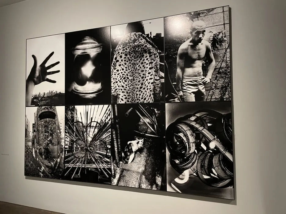 IMG_6831.JPG?type=w1