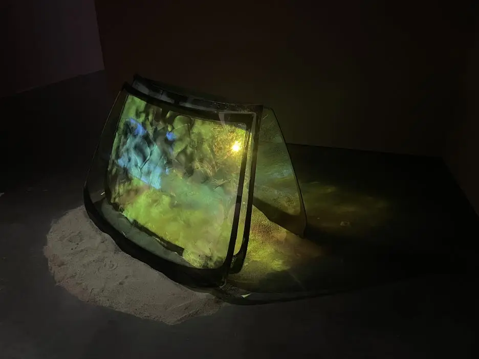 IMG_8993.JPG?type=w1