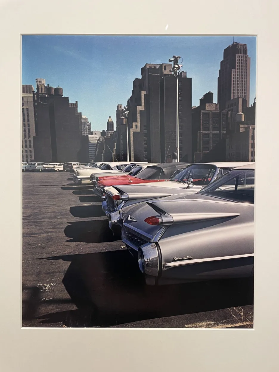 IMG_3230.JPG?type=w1