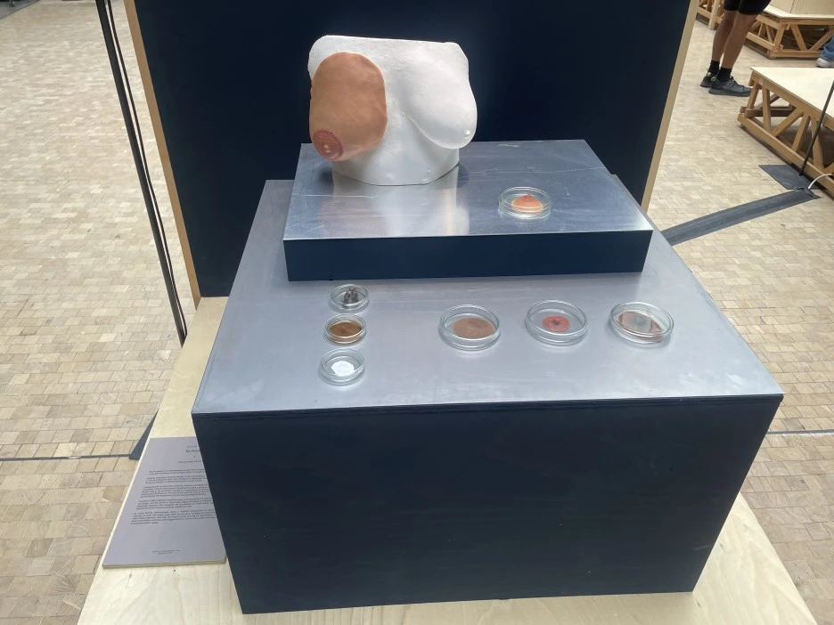 IMG_8831.JPG?type=w1