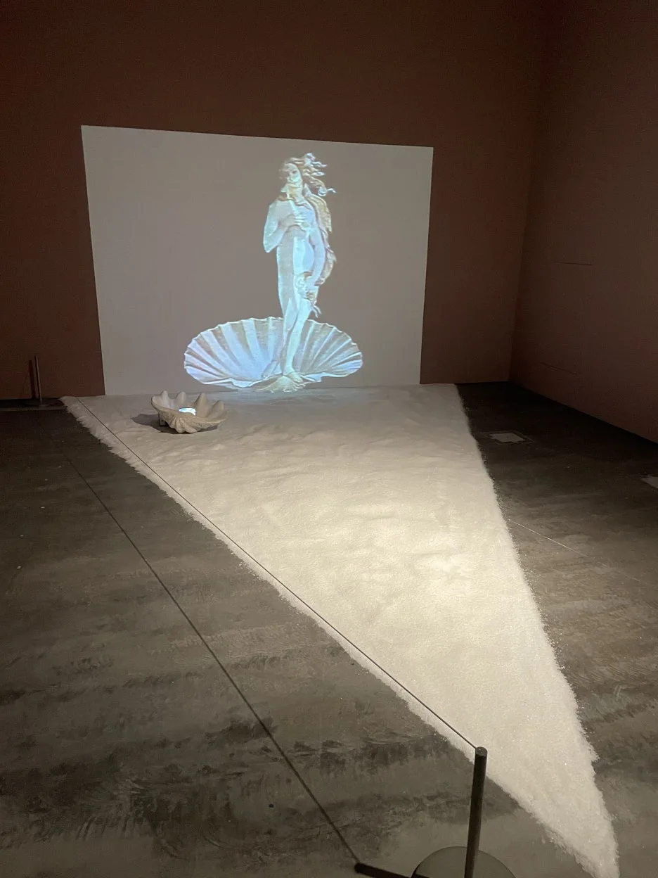 IMG_9015.JPG?type=w1